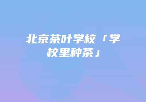北京茶叶学校「学校里种茶」