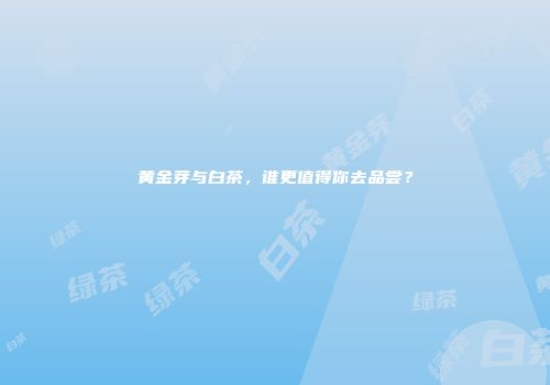 黄金芽与白茶，谁更值得你去品尝？