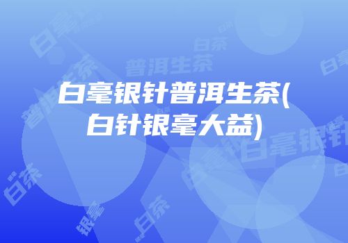 白毫银针普洱生茶(白针银毫大益)