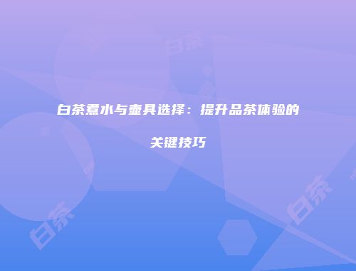 白茶煮水与壶具选择：提升品茶体验的关键技巧