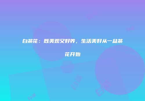 白茶花：既美观又好养，生活美好从一盆茶花开始