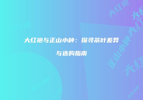 大红袍与正山小种：探寻茶叶差异与选购指南