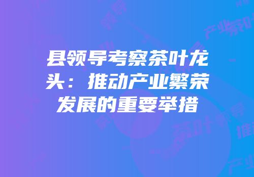 县领导考察茶叶龙头：推动产业繁荣发展的重要举措
