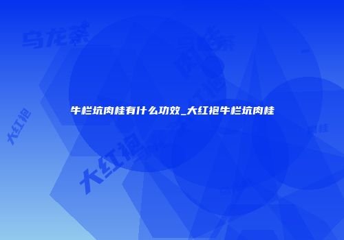 牛栏坑肉桂有什么功效_大红袍牛栏坑肉桂