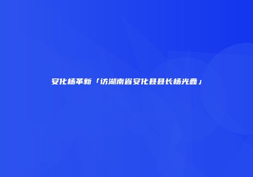 安化杨革新「访湖南省安化县县长杨光鑫」