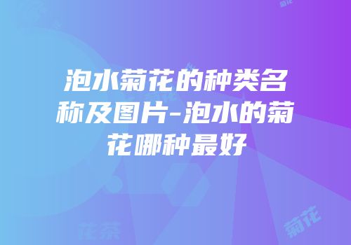 泡水菊花的种类名称及图片-泡水的菊花哪种最好