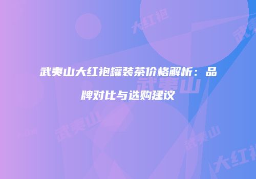 武夷山大红袍罐装茶价格解析：品牌对比与选购建议