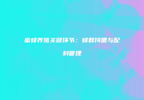 蜜蜂养殖关键环节：蜂群饲喂与配料管理