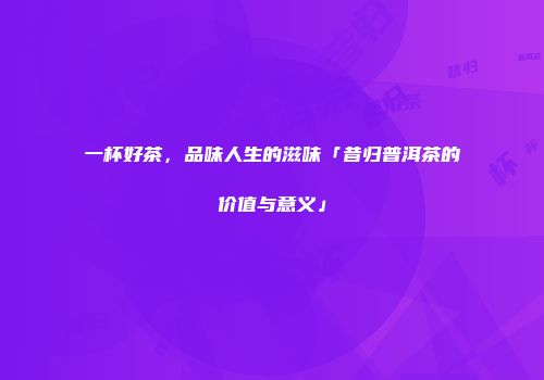 一杯好茶，品味人生的滋味「昔归普洱茶的价值与意义」
