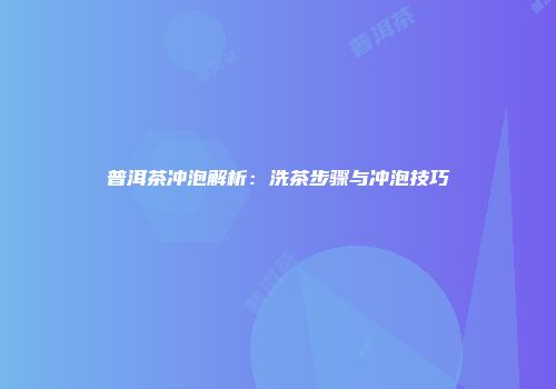 普洱茶冲泡解析：洗茶步骤与冲泡技巧