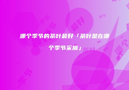 哪个季节的茶叶最好「茶叶是在哪个季节采摘」
