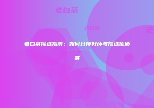 老白茶挑选指南：如何分辨好坏与挑选优质茶