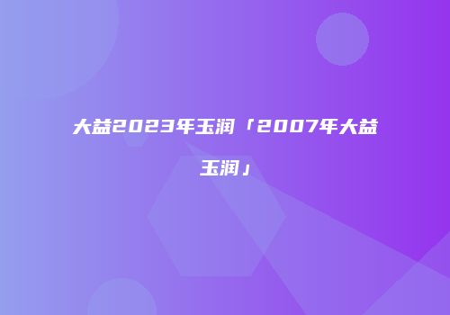 大益2023年玉润「2007年大益玉润」