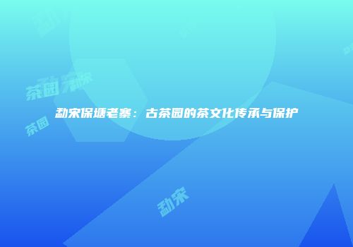 勐宋保塘老寨：古茶园的茶文化传承与保护