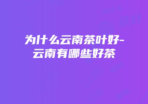 为什么云南茶叶好-云南有哪些好茶