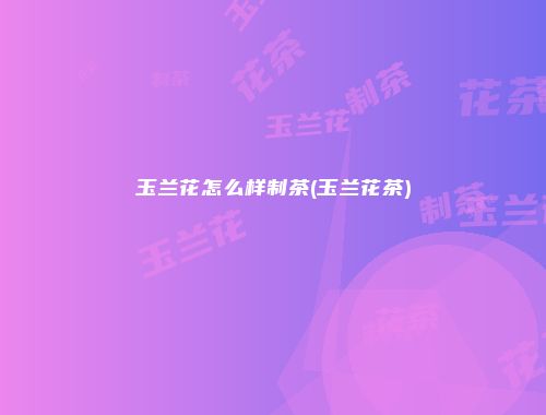 玉兰花怎么样制茶(玉兰花茶)