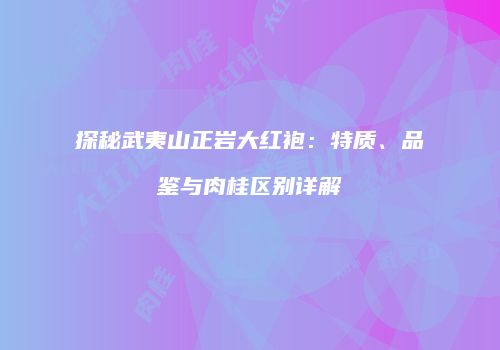 探秘武夷山正岩大红袍：特质、品鉴与肉桂区别详解