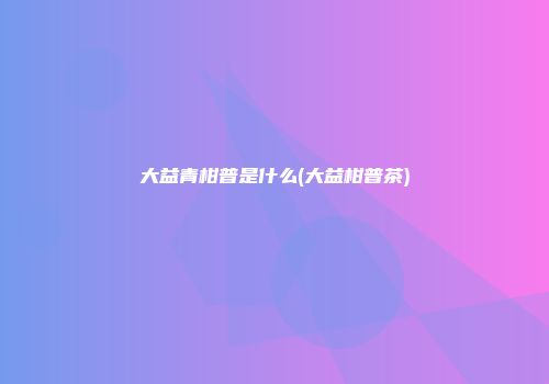 大益青柑普是什么(大益柑普茶)
