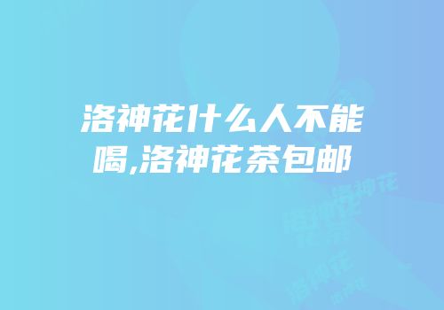 洛神花什么人不能喝,洛神花茶包邮