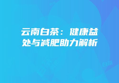 云南白茶：健康益处与减肥助力解析