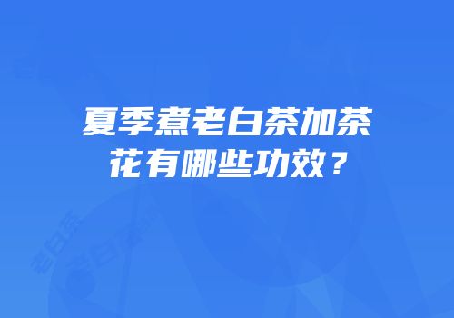 夏季煮老白茶加茶花有哪些功效？