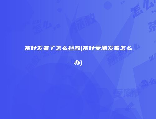 茶叶发霉了怎么拯救(茶叶受潮发霉怎么办)
