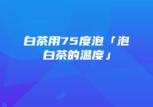 白茶用75度泡「泡白茶的温度」