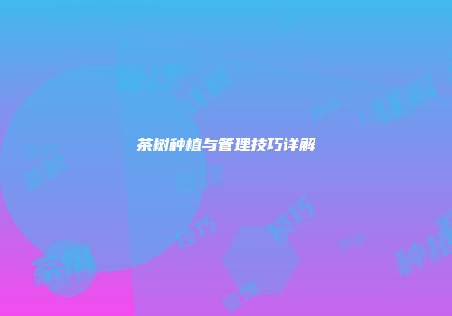 茶树种植与管理技巧详解