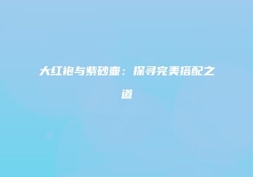 大红袍与紫砂壶：探寻完美搭配之道