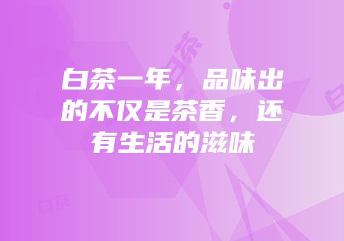 白茶一年，品味出的不仅是茶香，还有生活的滋味
