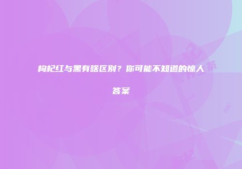 枸杞红与黑有啥区别？你可能不知道的惊人答案