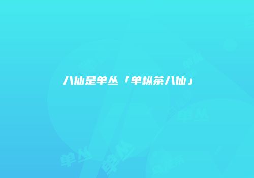 八仙是单丛「单枞茶八仙」
