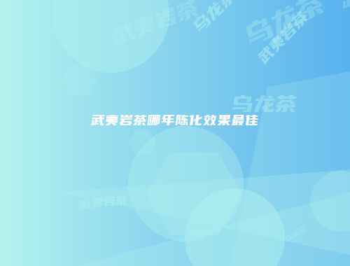 武夷岩茶哪年陈化效果最佳