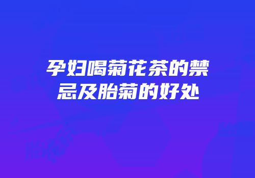 孕妇喝菊花茶的禁忌及胎菊的好处