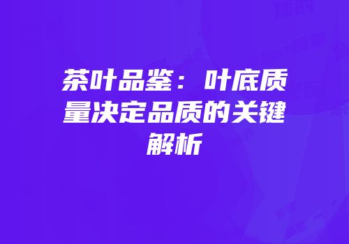 茶叶品鉴：叶底质量决定品质的关键解析