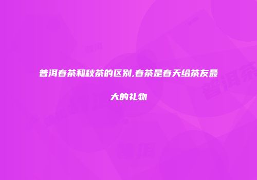 普洱春茶和秋茶的区别,春茶是春天给茶友最大的礼物