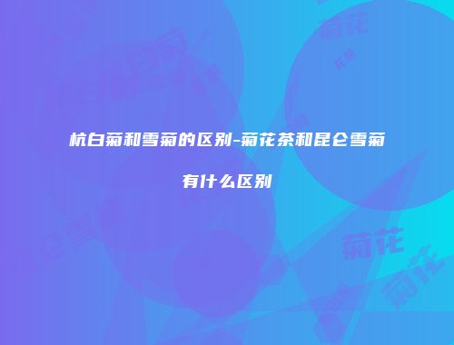 杭白菊和雪菊的区别-菊花茶和昆仑雪菊有什么区别