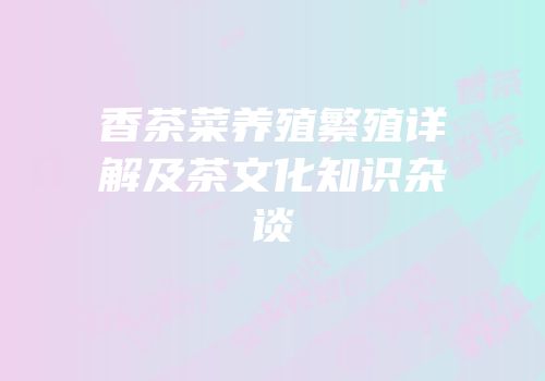 香茶菜养殖繁殖详解及茶文化知识杂谈