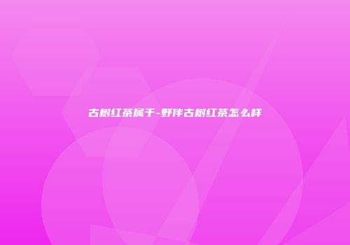 古树红茶属于-野伴古树红茶怎么样