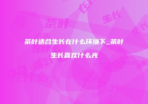 茶叶适合生长在什么环境下_茶叶生长喜欢什么光