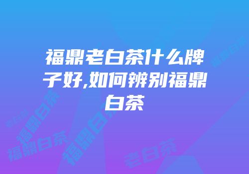 福鼎老白茶什么牌子好,如何辨别福鼎白茶