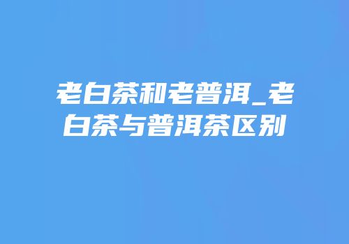 老白茶和老普洱_老白茶与普洱茶区别