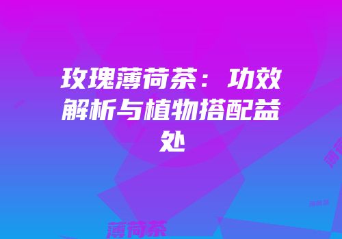 玫瑰薄荷茶：功效解析与植物搭配益处