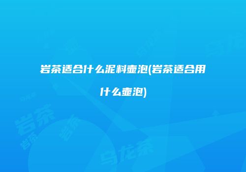 岩茶适合什么泥料壶泡(岩茶适合用什么壶泡)
