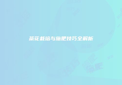 茶花栽培与施肥技巧全解析