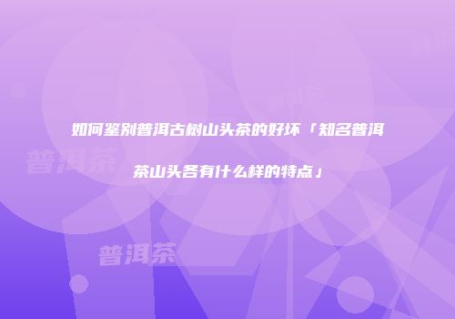 如何鉴别普洱古树山头茶的好坏「知名普洱茶山头各有什么样的特点」
