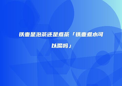 铁壶是泡茶还是煮茶「铁壶煮水可以喝吗」