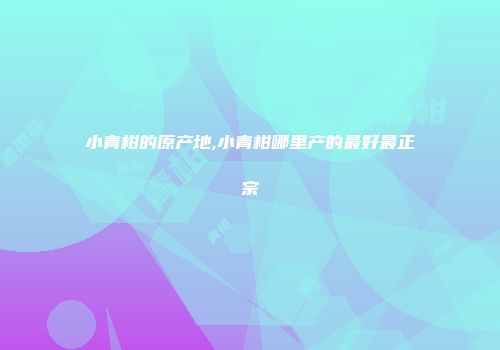 小青柑的原产地,小青柑哪里产的最好最正宗