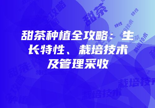 甜茶种植全攻略：生长特性、栽培技术及管理采收