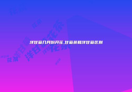洋甘菊几月份开花,甘菊茶和洋甘菊区别